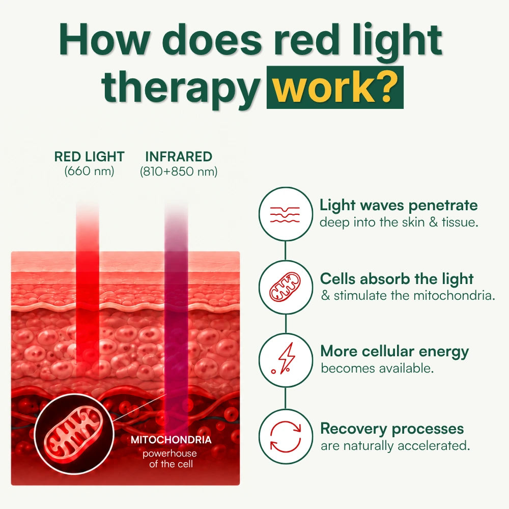 Koanna® Luma1000™ – Powerful, Mid-Size Red Light Therapy Panel