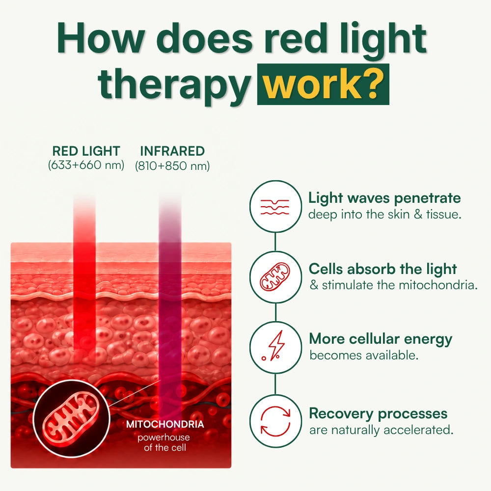 Koanna® Luma300™ – Powerful, Compact Red Light Therapy Panel