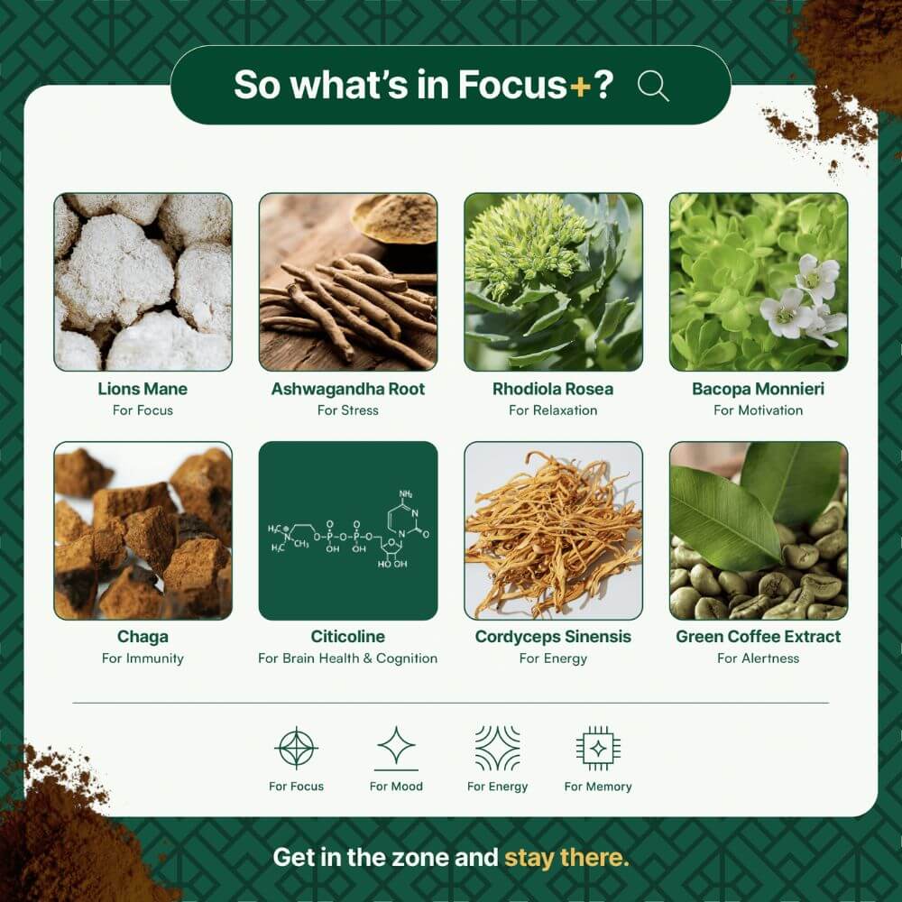 Focus+ contains lion's mane, ashwagandha root, rhodiola, bacopa monnieri, chaga, citicoline, cordyceps and green coffee beans.